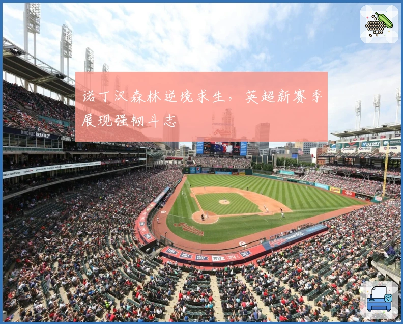 诺丁汉森林逆境求生，英超新赛季展现强韧斗志