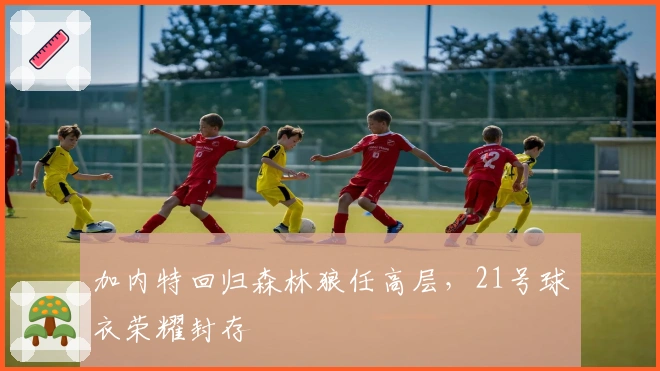 加内特回归森林狼任高层，21号球衣荣耀封存