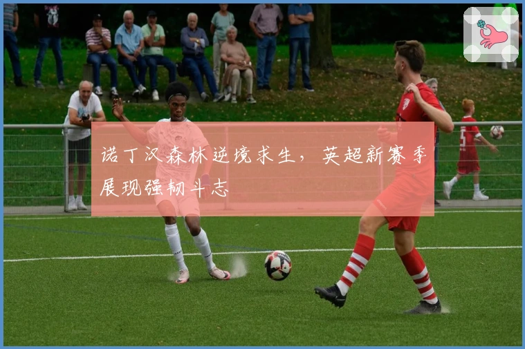 诺丁汉森林逆境求生，英超新赛季展现强韧斗志